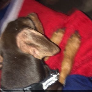 Meet your Posher, Sandra